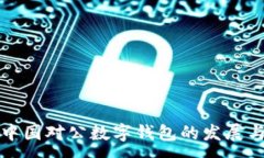 :探索中国对公数字钱包的发展与未来