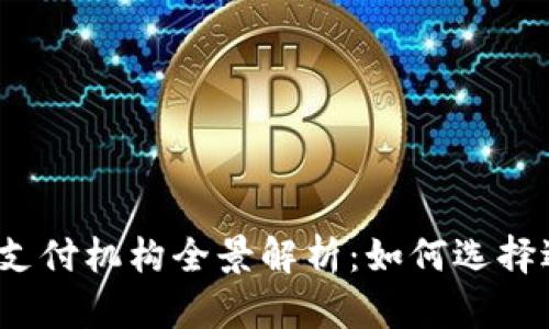 2023年数字钱包支付机构全景解析:如何选择适合你的支付工具