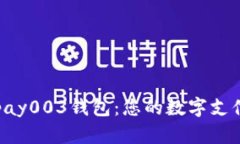 探索Gopay003钱包：您的数字支付新选择