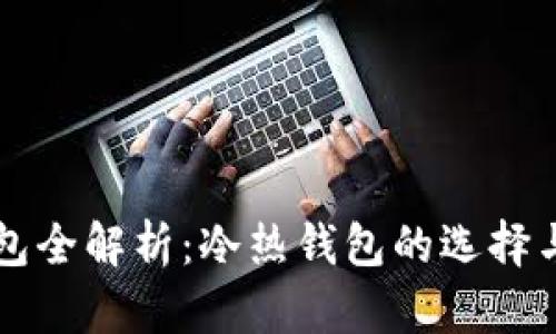 区块链钱包全解析:冷热钱包的选择与安全技巧