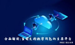 全面解析：当前支持数字钱包的主要平