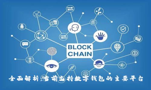 全面解析:当前支持数字钱包的主要平台