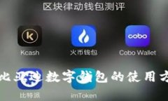 全面解析比亚迪数字钱包的使用方法与