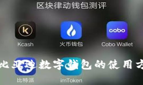 全面解析比亚迪数字钱包的使用方法与技巧