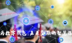 华为数字钱包：未来金融的智慧选择