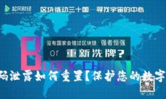 TP钱包密码泄露如何重置？保护您的数