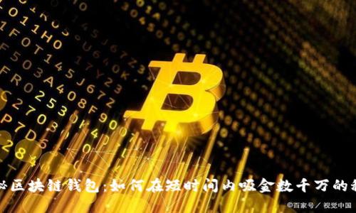 揭秘区块链钱包:如何在短时间内吸金数千万的秘密