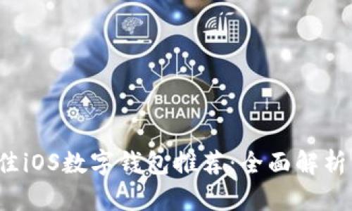 2023年最佳iOS数字钱包推荐:全面解析与使用指南