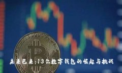 未来已来：13亿数字钱包的崛起与挑战