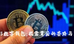 :315数字钱包：揭露背后的套路与真相