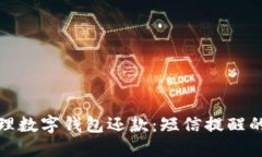 如何高效管理数字钱包还款：短信提醒