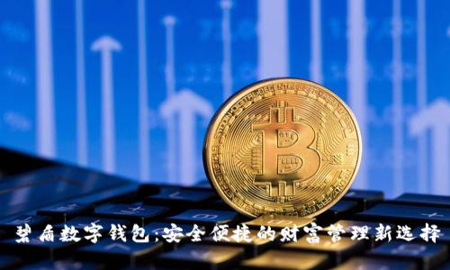 碧盾数字钱包:安全便捷的财富管理新选择