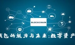  区块链数字钱包的魅力与未来：数字