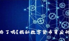 数字钱包跑路了吗？揭秘数字货币背后