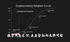 数字钱包支付：未来金融的无限可能
