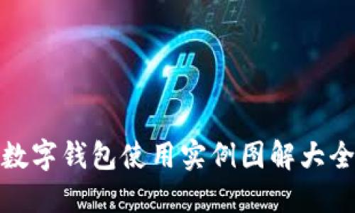 数字钱包使用实例图解大全