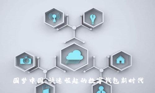 圆梦中国:快速崛起的数字钱包新时代