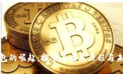 与关键词数字钱包的崛起：探索其发展