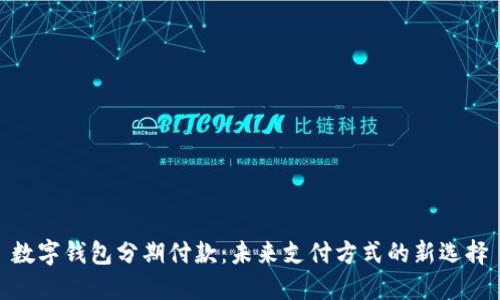 数字钱包分期付款:未来支付方式的新选择
