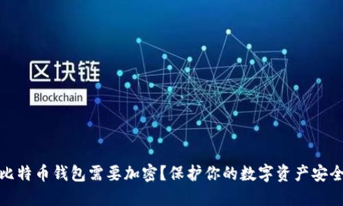 为什么比特币钱包需要加密?保护你的数字资产安全的关键