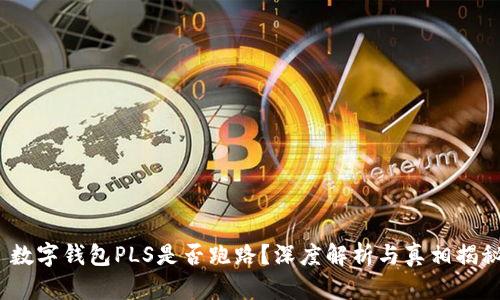 数字钱包PLS是否跑路?深度解析与真相揭秘