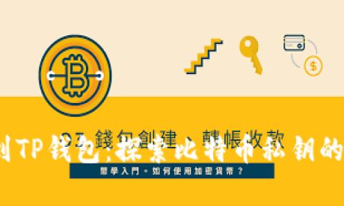  中本聪提币到TP钱包：探索比特币私钥的奥秘与安全性