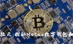 解锁未来支付新纪元：探秘Metax数字钱