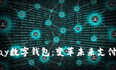 探索BHPay数字钱包：变革未来支付的新