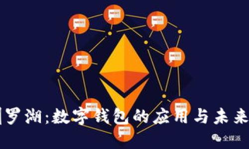 深圳罗湖:数字钱包的应用与未来展望
