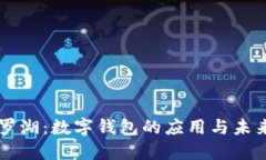 深圳罗湖：数字钱包的应用与未来展望
