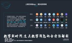 数字新时代：支点数字钱包的全方位解