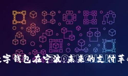 数字钱包在宁波:未来的支付革命