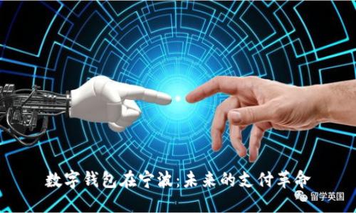 数字钱包在宁波:未来的支付革命