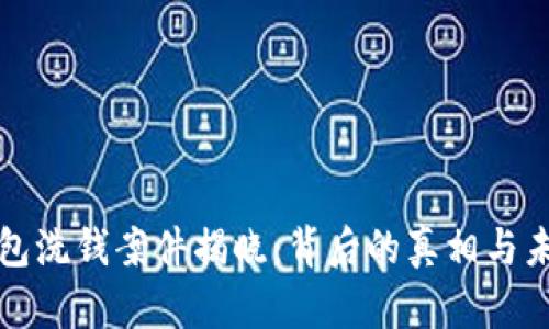 数字钱包洗钱案件揭晓:背后的真相与未来展望