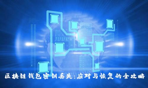 区块链钱包密钥丢失:应对与恢复的全攻略