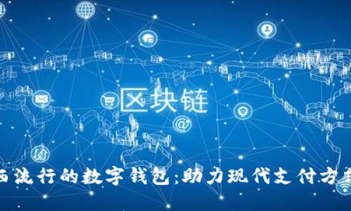 探索巴西流行的数字钱包:助力现代支付方式的变化