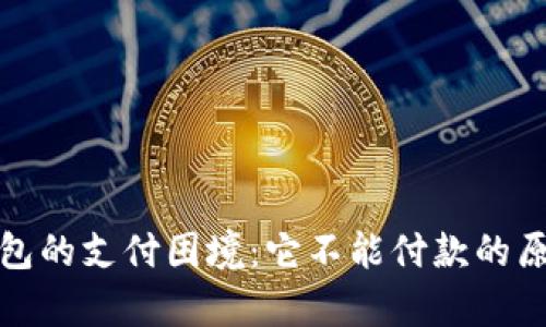 数字钱包的支付困境:它不能付款的原因解析