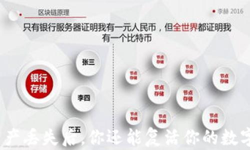 tp钱包资产丢失后,你还能复活你的数字财富吗?