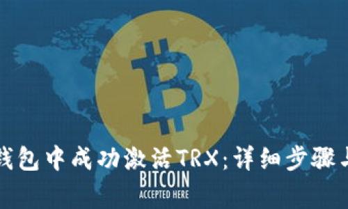 如何在TP钱包中成功激活TRX:详细步骤与注意事项