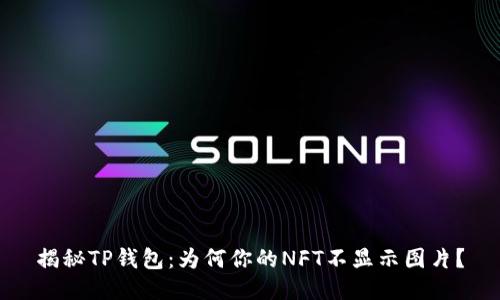 揭秘TP钱包:为何你的NFT不显示图片?