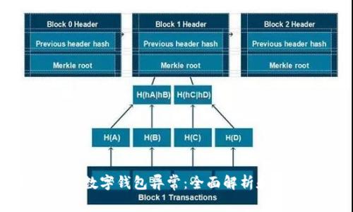 如何应对数字钱包异常:全面解析和解决方案