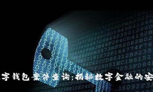 南安数字钱包案件查询:揭秘数字金融的安全风险