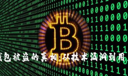 加密钱包被盗的真相:从技术漏洞到用户失误