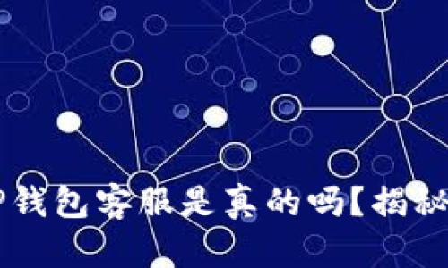 电报上的TP钱包客服是真的吗?揭秘背后的真相