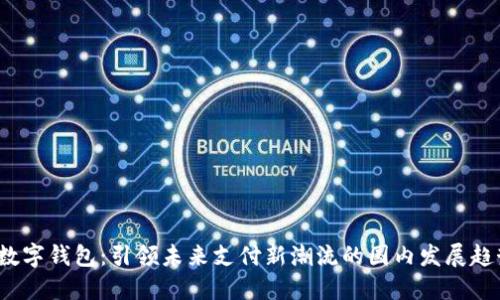 数字钱包:引领未来支付新潮流的国内发展趋势