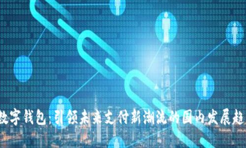 数字钱包:引领未来支付新潮流的国内发展趋势