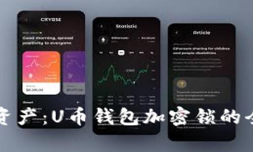 保护你的资产:U币钱包加密锁的全方位解析