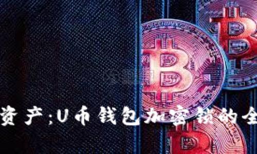 保护你的资产:U币钱包加密锁的全方位解析