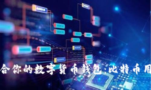 如何选择适合你的数字货币钱包:比特币用户必读指南