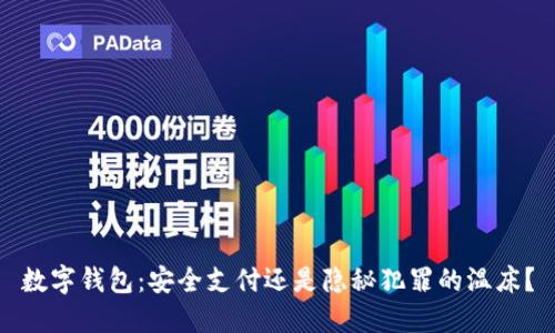 数字钱包:安全支付还是隐秘犯罪的温床?